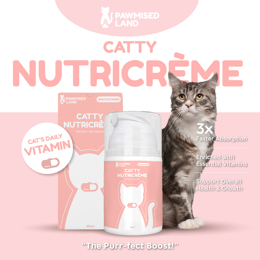 Catty NutriCrème - Emulsified Multivitamin