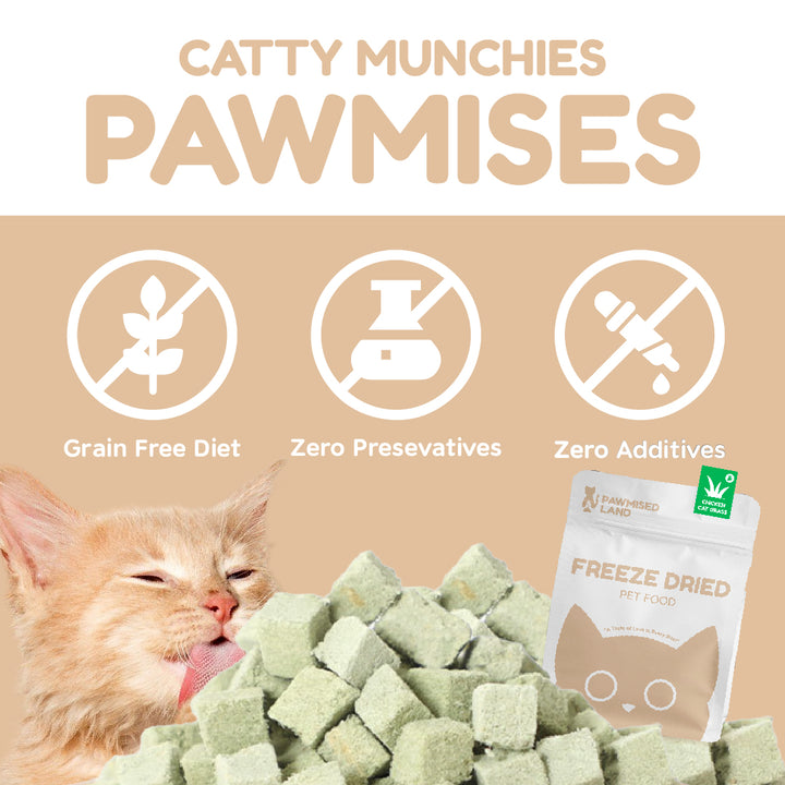 Catty Munchies - Functional Series