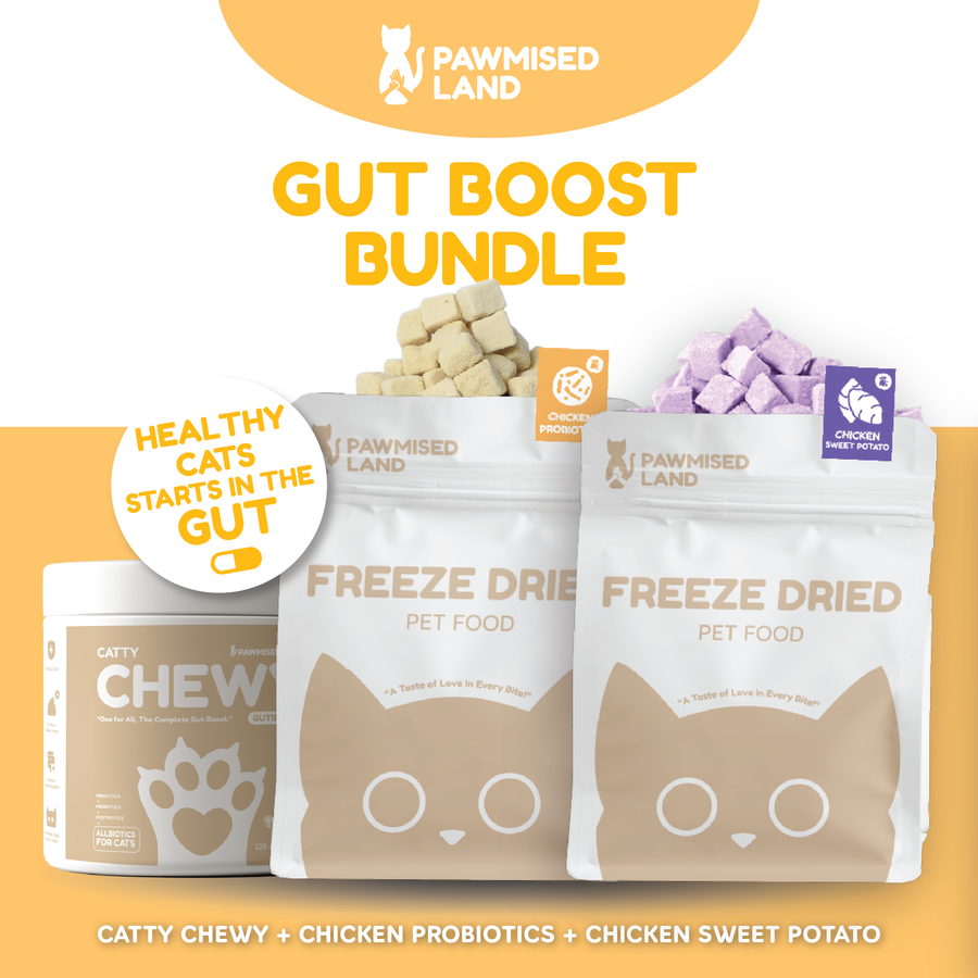 Pawmised Gut Boost Series