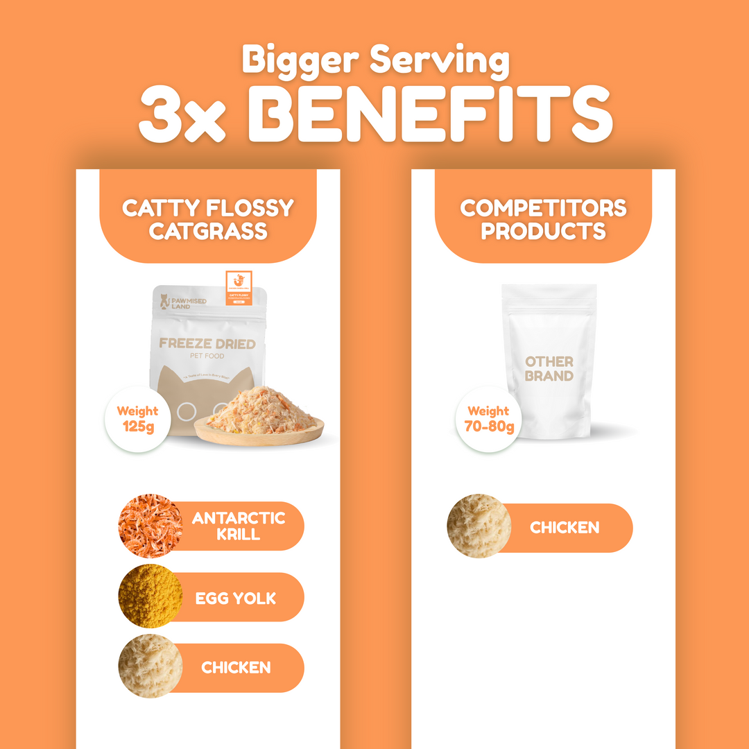 Catty Flossy - Functional Freeze-Dried Kibbles Topper