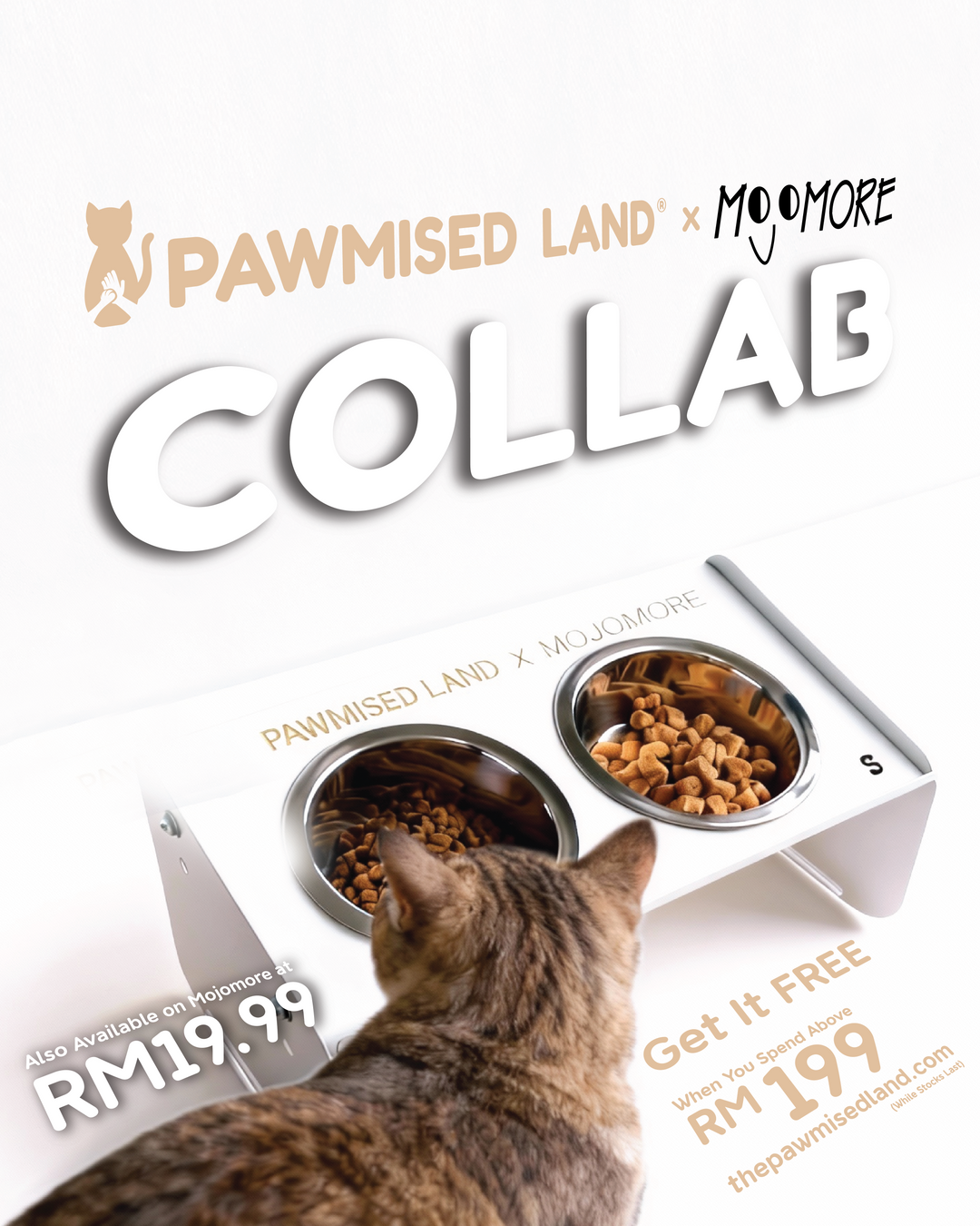 Pawmised Land x Mojomore - Dual Cat Bowl