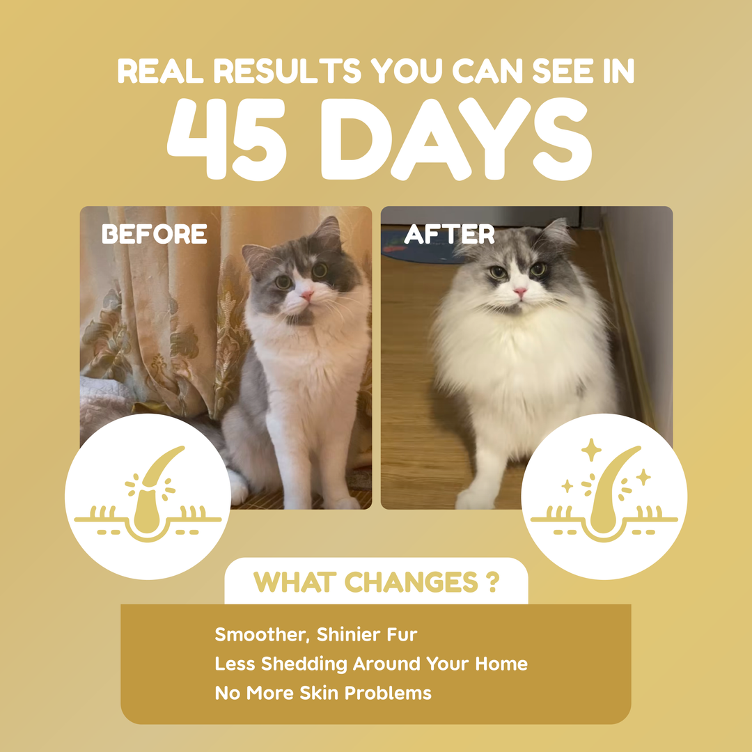 Pawmised Barf+ Fish Oil - Functional Complete Meal