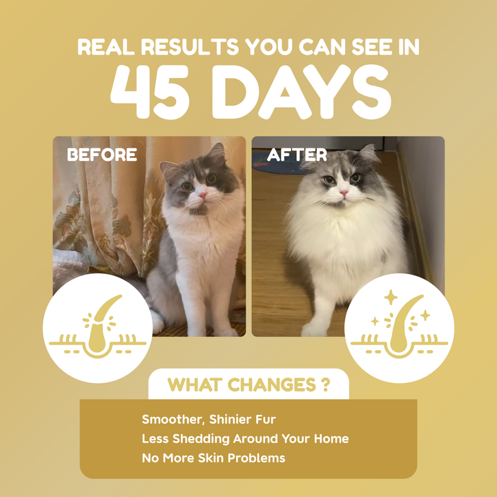 Pawmised Barf+ Fish Oil - Functional Complete Meal