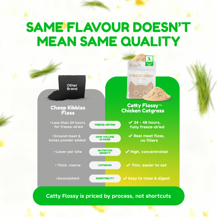 Catty Flossy - Functional Freeze-Dried Kibbles Topper