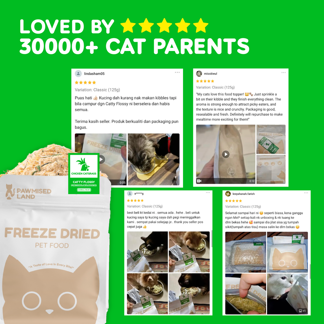 Catty Flossy - Functional Freeze-Dried Kibbles Topper