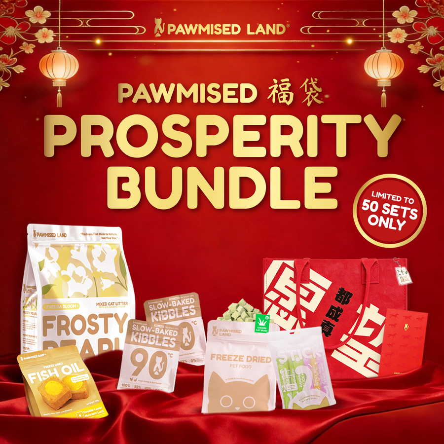 Pawmised Fudai 福袋 - Prosperity Bundle