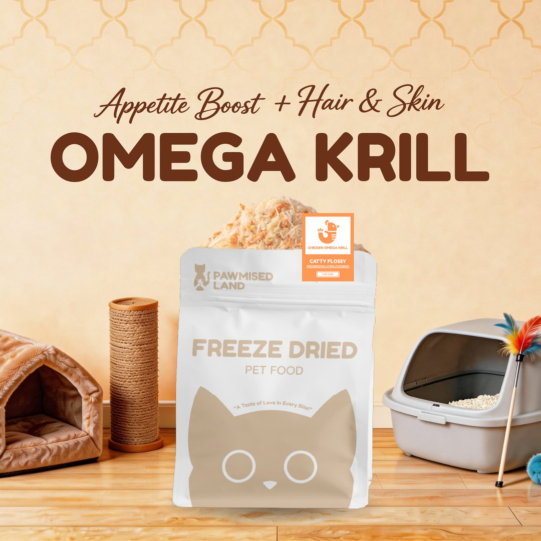 The "Welcome Home" Starter Pack