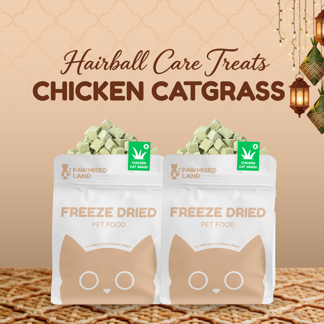 The "Second Chance" Mega-Bundle