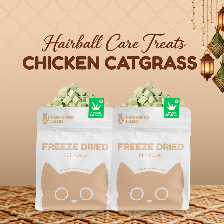 The "Second Chance" Mega-Bundle