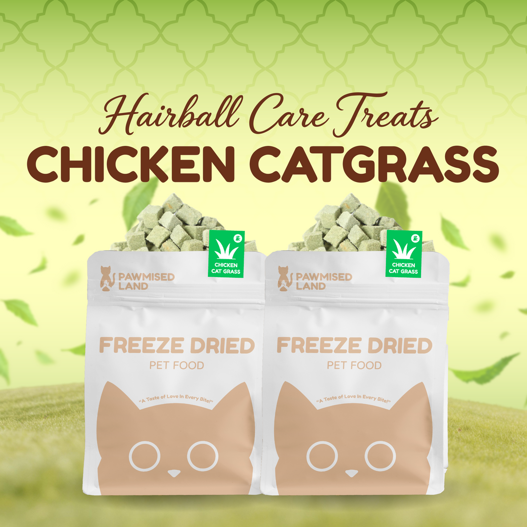 Lingy's Hairball Care Pack