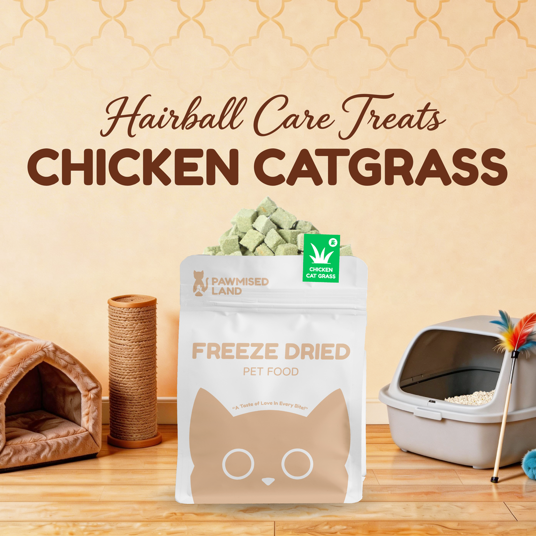 The "Welcome Home" Starter Pack