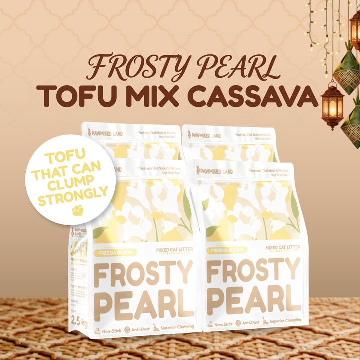 The "Second Chance" Mega-Bundle