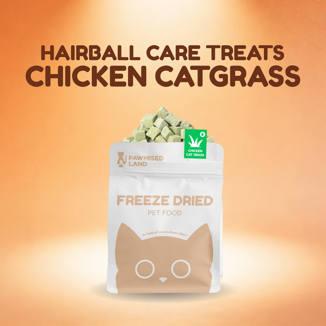 [PREORDER] Pawmised Janji Di Hati Bundle