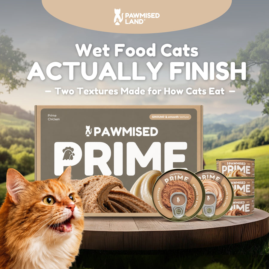 [PRE-ORDER] Pawmised Prime Canned Food