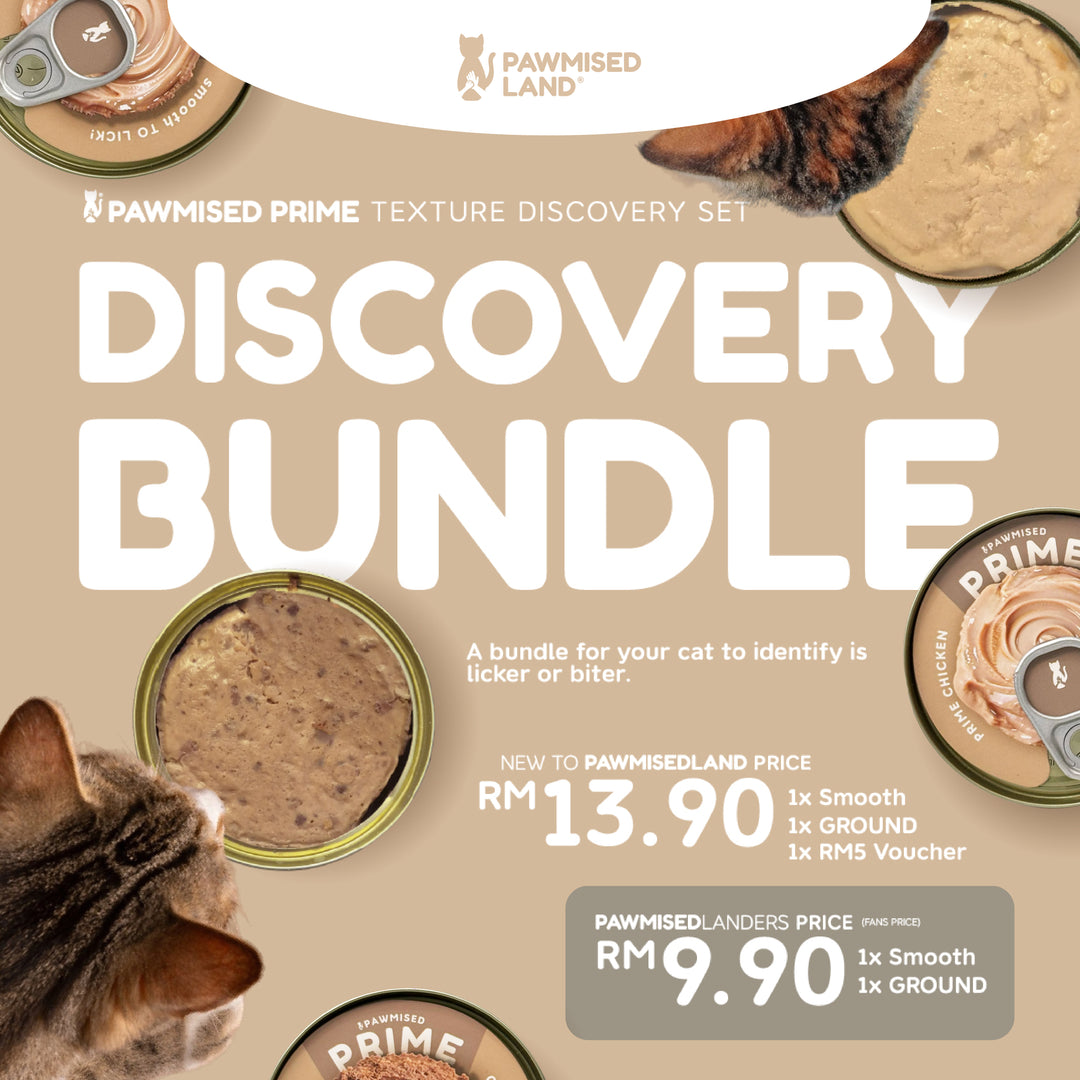 [150 SETS ONLY] Texture Discovery Bundle