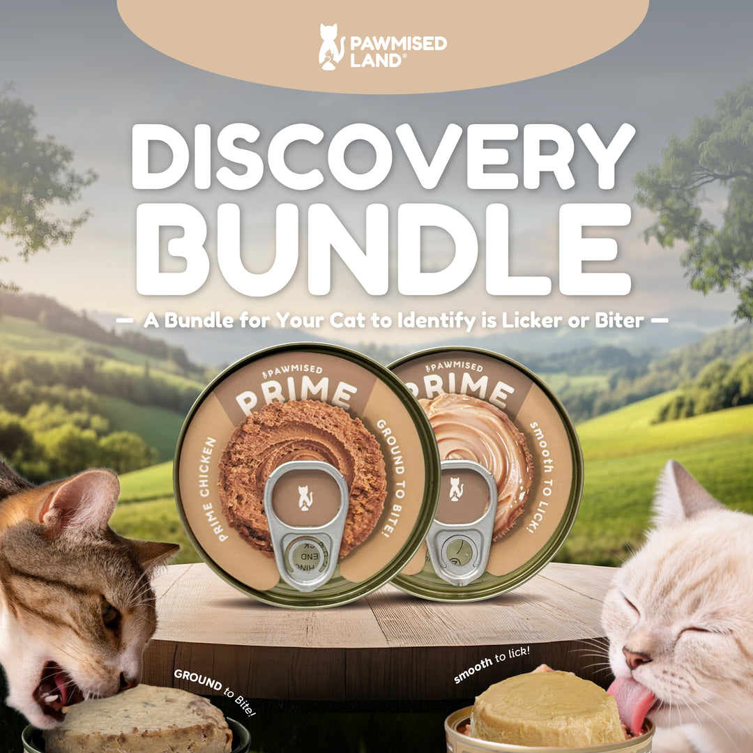 [150 SETS ONLY] Texture Discovery Bundle