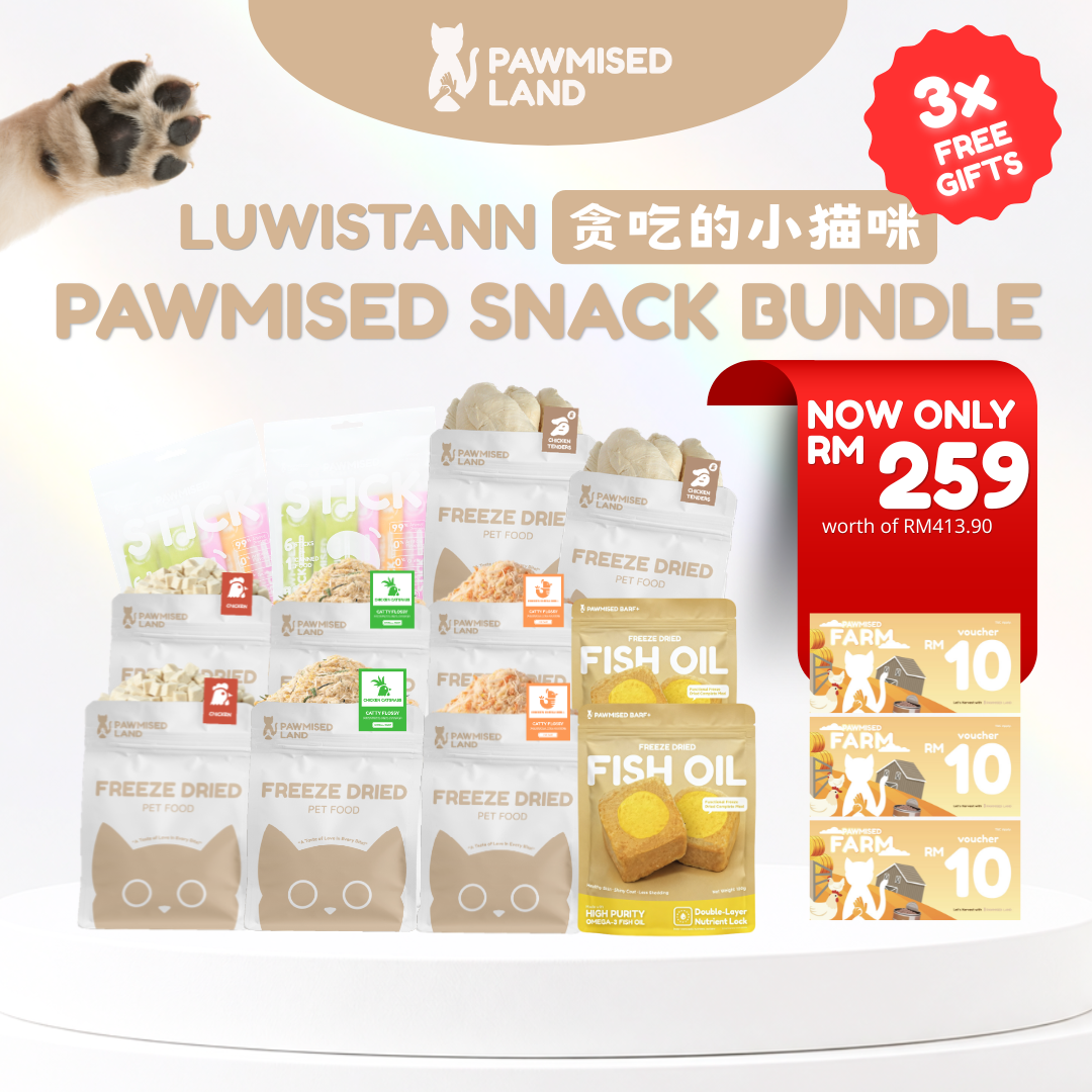 贪吃的小猫咪 - Pawmised Snack Bundle