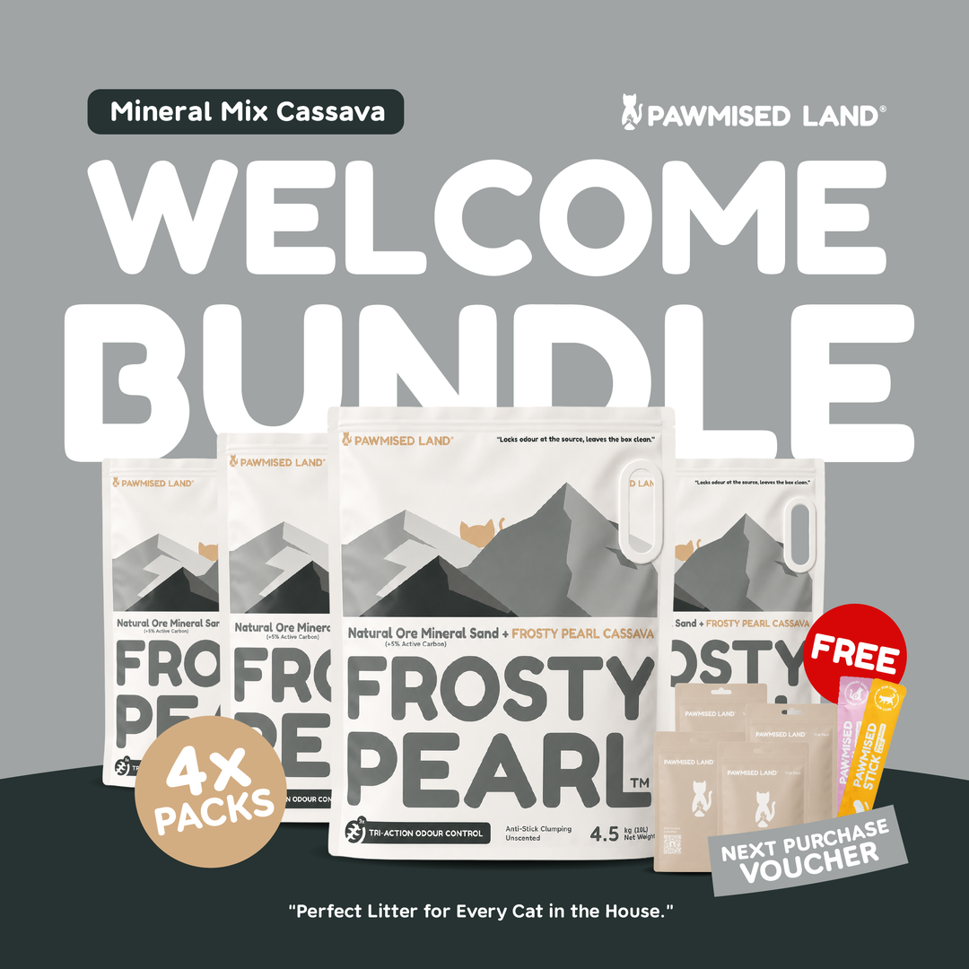 Frosty Pearl Mineral Sand Mix Cassava Welcome Bundle
