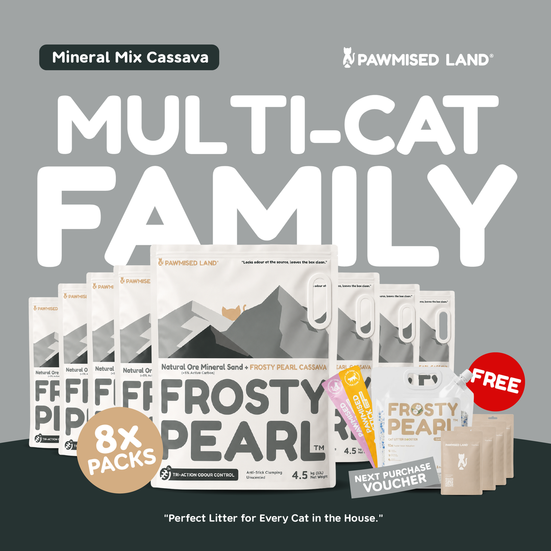 Frosty Pearl Mineral Sand Mix Cassava Multi-Cat Family Bundle
