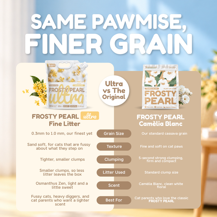 Frosty Pearl Ultra Fine Cassava Litter