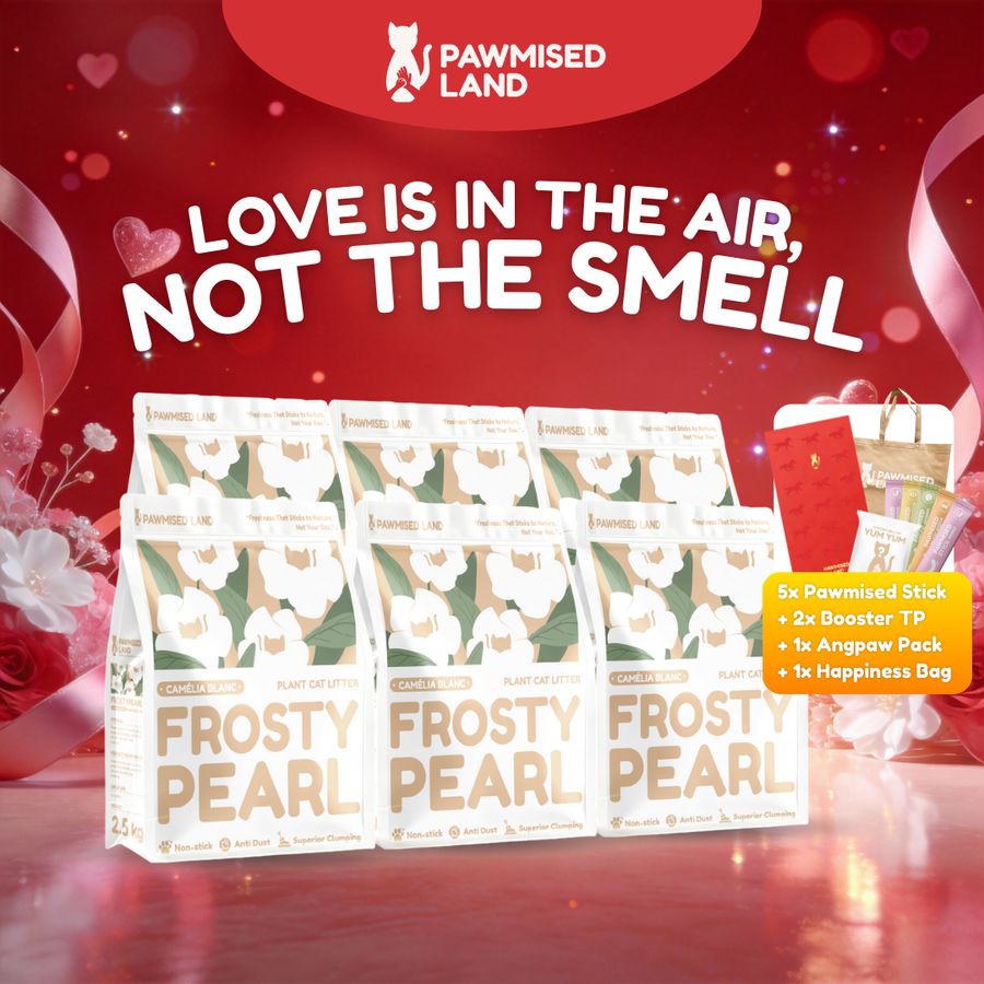 Pawmised Valentine - Frosty Bundle