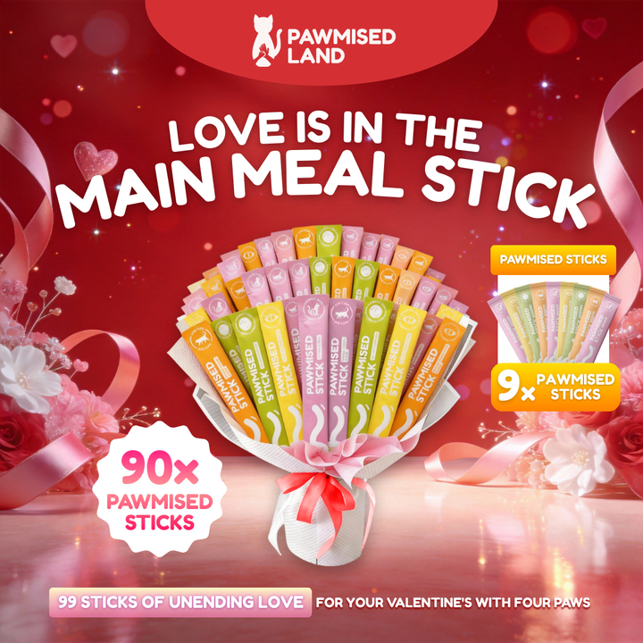 Pawmised Valentine - Main Meal Stick Bundle