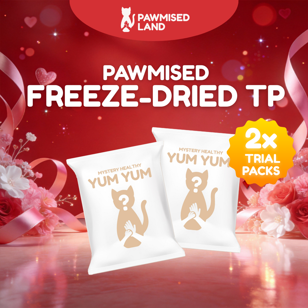 Pawmised Valentine - Frosty Bundle