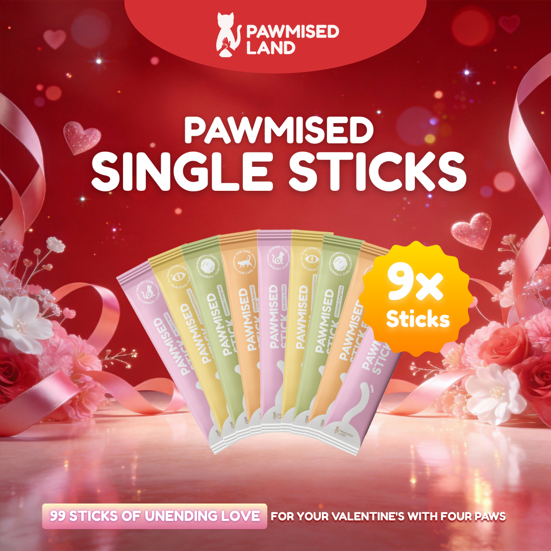 Pawmised Valentine - Main Meal Stick Bundle