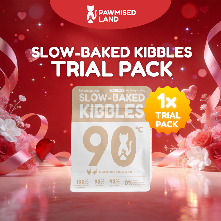 Pawmised Valentine - Fur Care Bundle