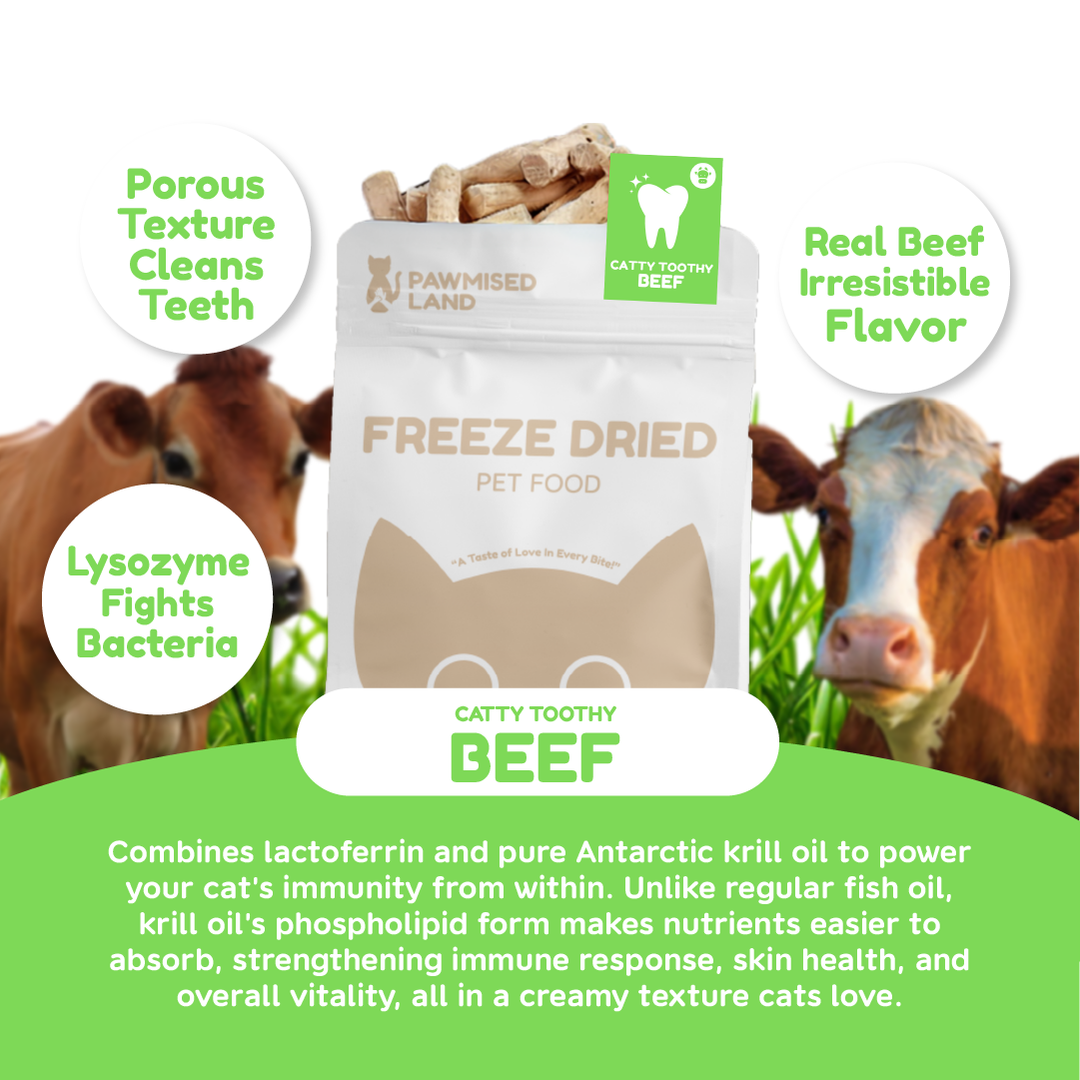 Catty Toothy - Dental Freeze Dried