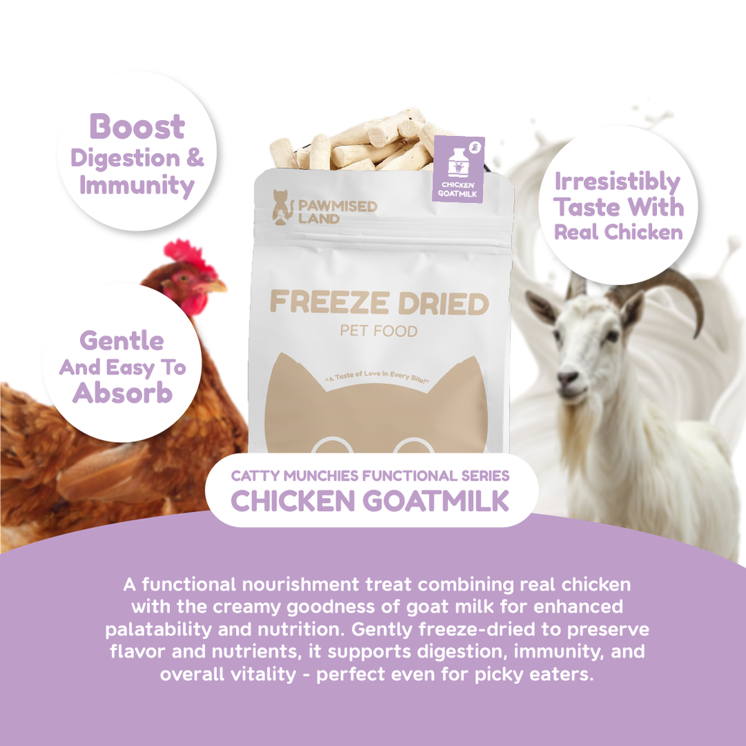 Catty Munchies - Functional Series