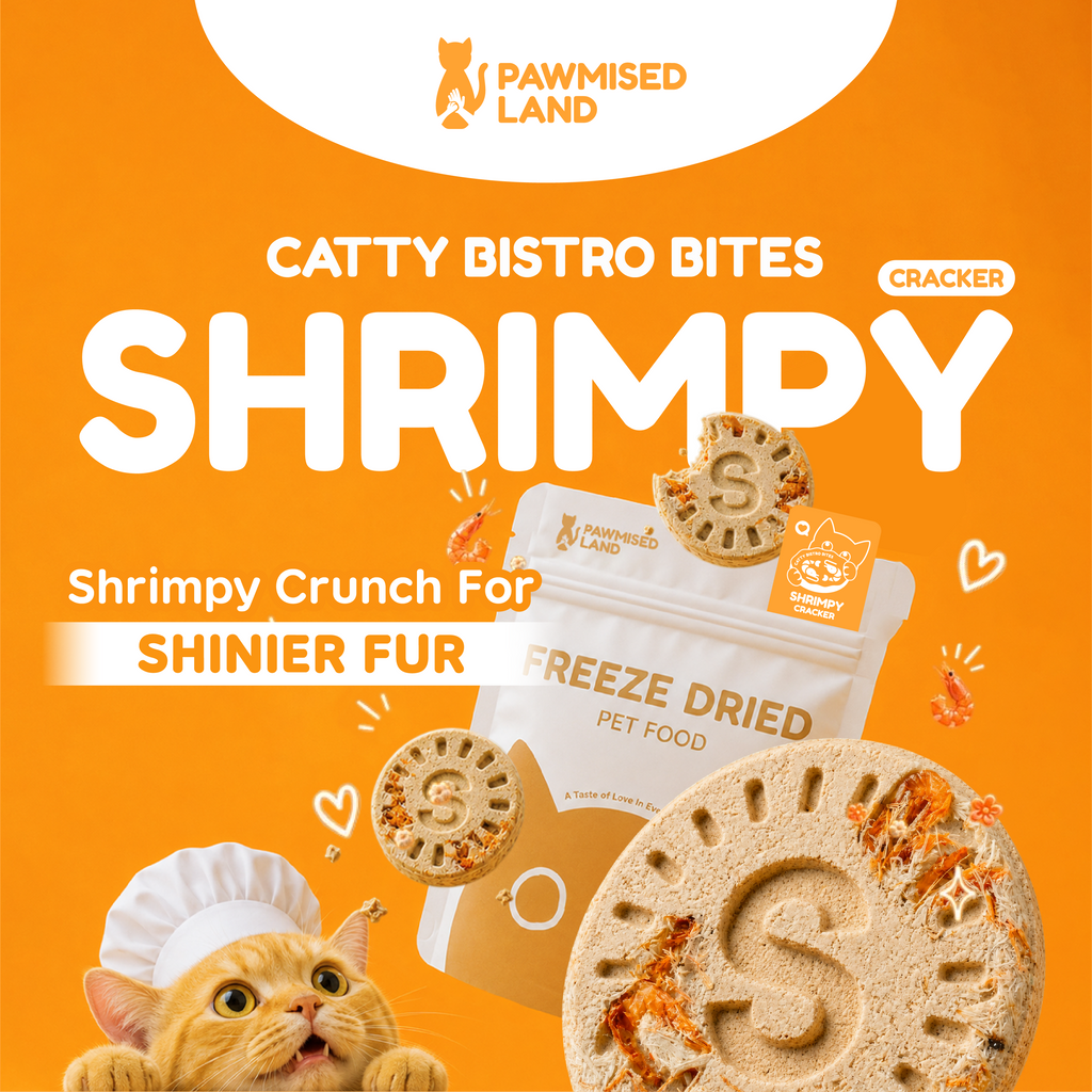 Catty Bistro Bites Shrimpy Cracker Cat Treats | PawmisedLand