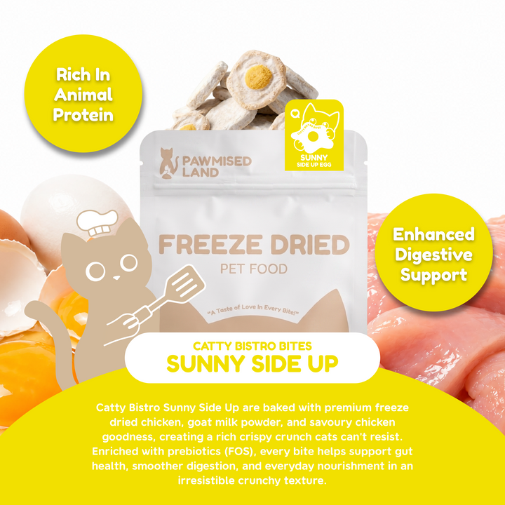Catty Bistro Bites - Sunny Side Up Egg
