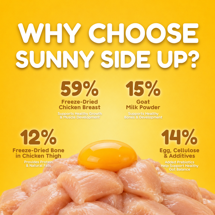 Catty Bistro Bites - Sunny Side Up Egg