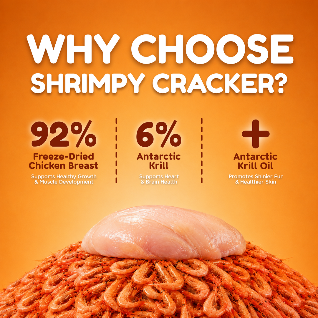 Catty Bistro Bites - Shrimpy Cracker