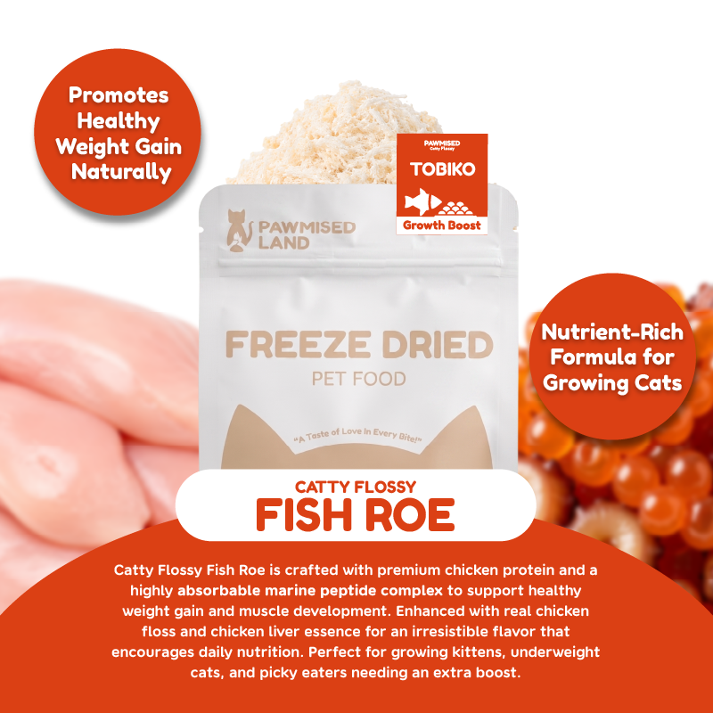 Catty Flossy - Functional Freeze-Dried Kibbles Topper