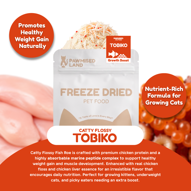Catty Flossy - Functional Freeze-Dried Kibbles Topper