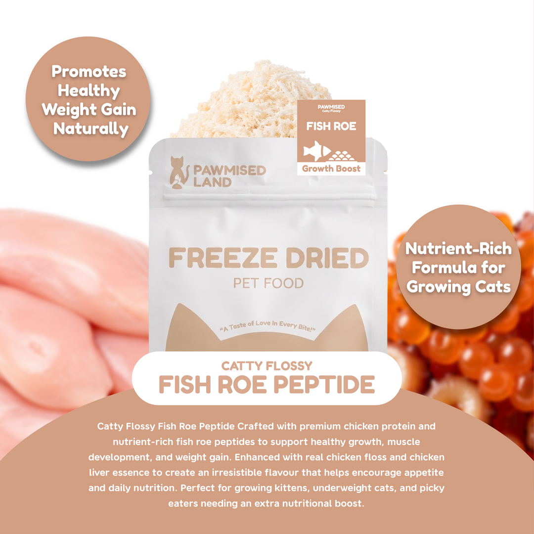 Catty Flossy - Functional Freeze-Dried Kibbles Topper