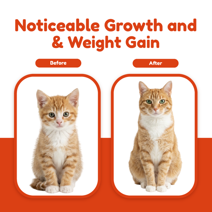 Catty Flossy - Functional Freeze-Dried Kibbles Topper