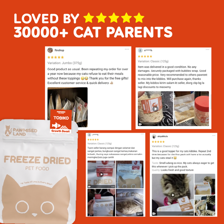 Catty Flossy - Functional Freeze-Dried Kibbles Topper