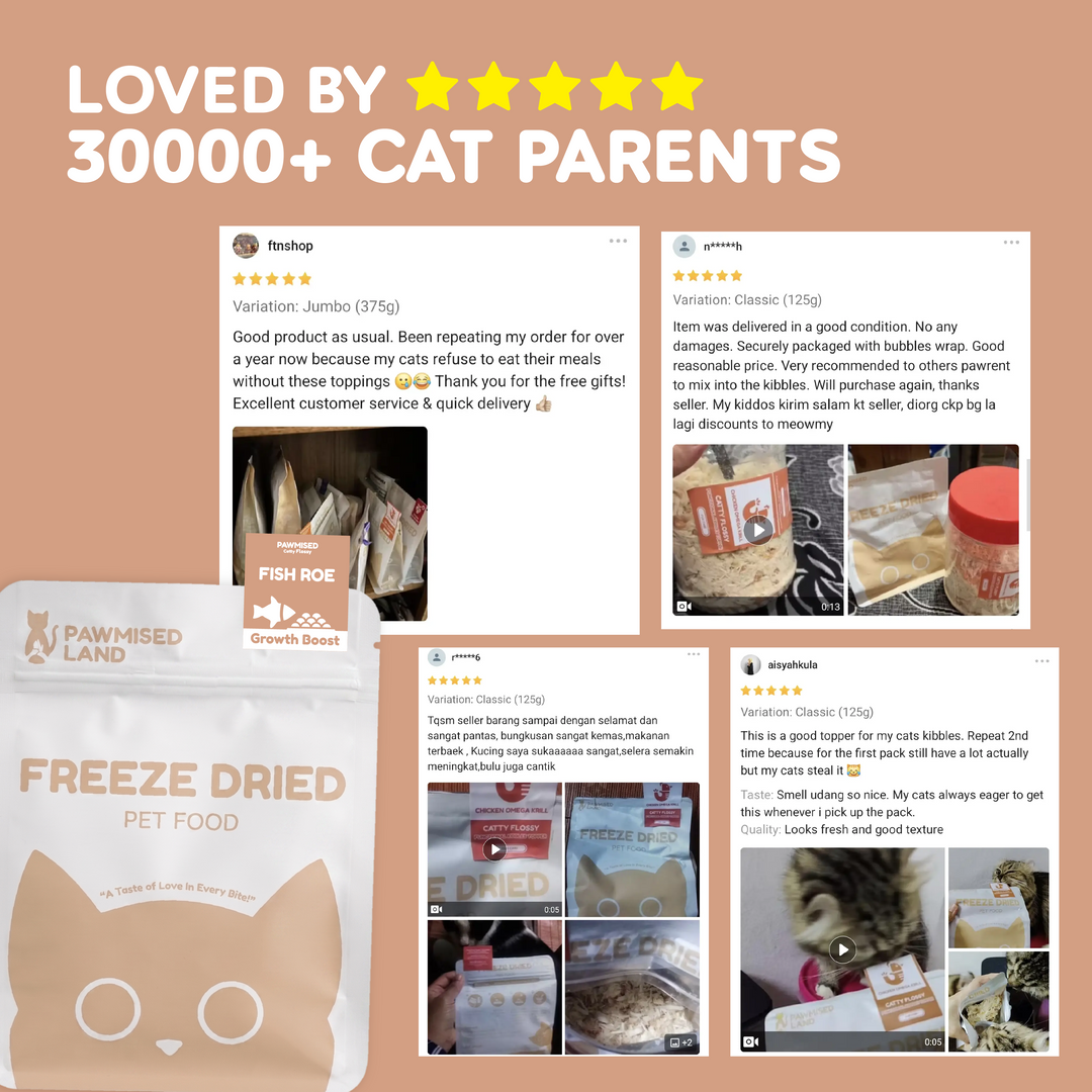 Catty Flossy - Functional Freeze-Dried Kibbles Topper