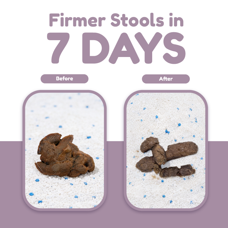 Catty Flossy - Functional Freeze-Dried Kibbles Topper