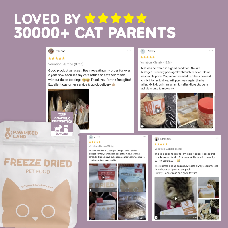 Catty Flossy - Functional Freeze-Dried Kibbles Topper
