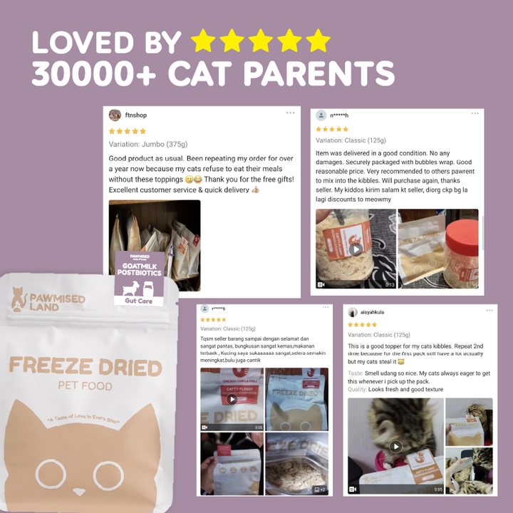 Catty Flossy - Functional Freeze-Dried Kibbles Topper