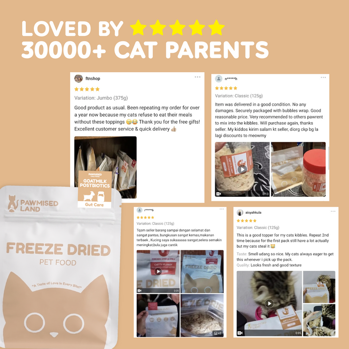 Catty Flossy - Functional Freeze-Dried Kibbles Topper