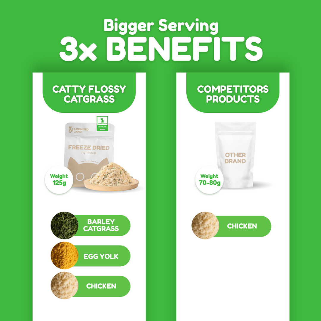 Catty Flossy - Functional Freeze-Dried Kibbles Topper