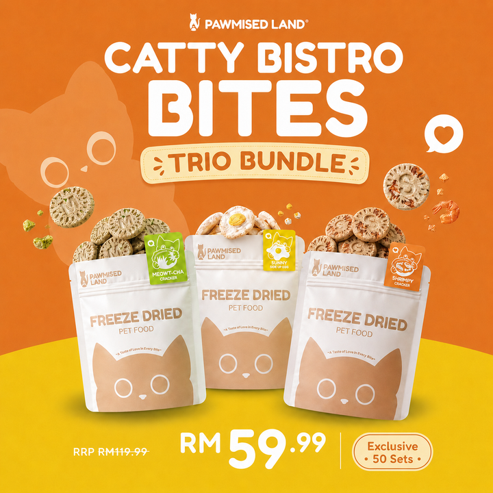 Catty Bistro Bites - Trio Launch Bundle