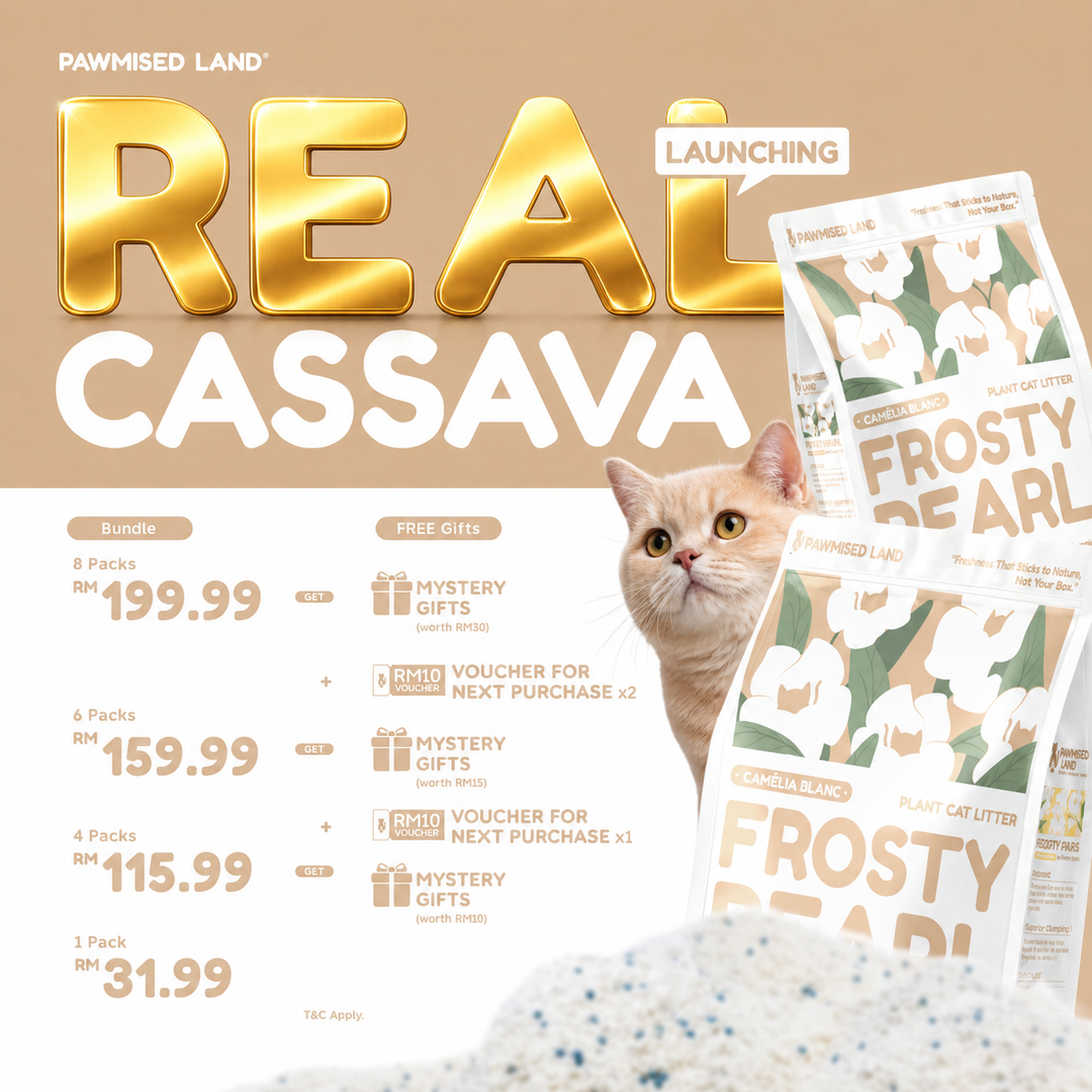 Frosty Pearl - Plant Cat Litter - Camèlia Blanc Scent