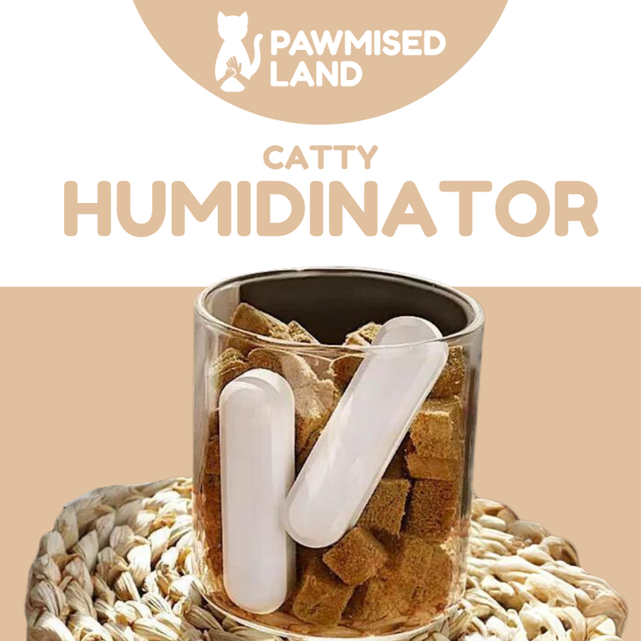 Catty Humidinator