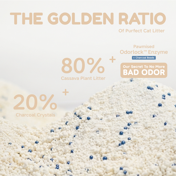 Frosty Pearl - Plant Cat Litter - Camèlia Blanc Scent